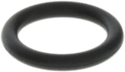 Schwarzer O-Ring von Bosch, rund und gummiert, ohne erkennbare Maße, auf heller Hintergrundfläche dargestellt.